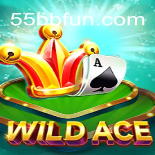 Discovering WildAce: Brazil's Leading Betting Platform 